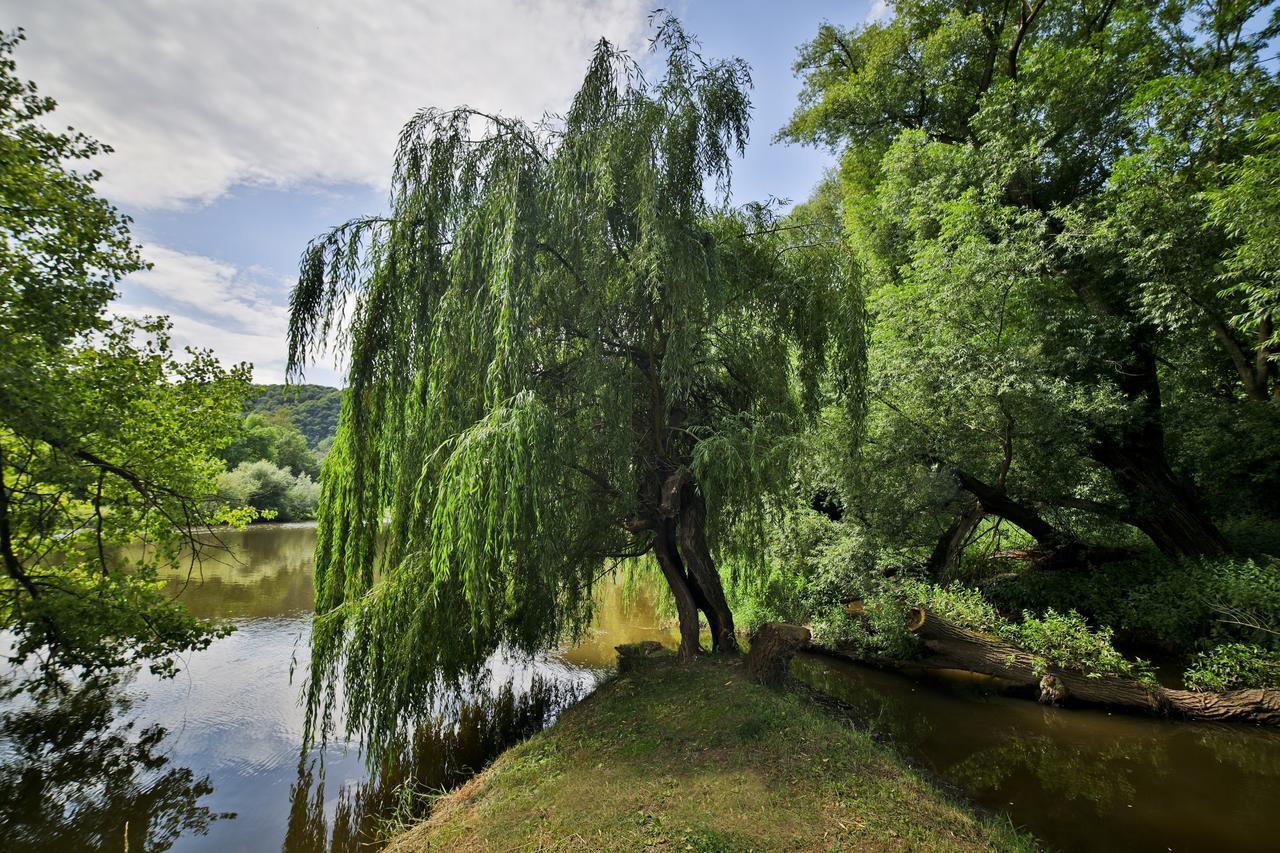 Penzion Karlštejn Dış mekan fotoğraf